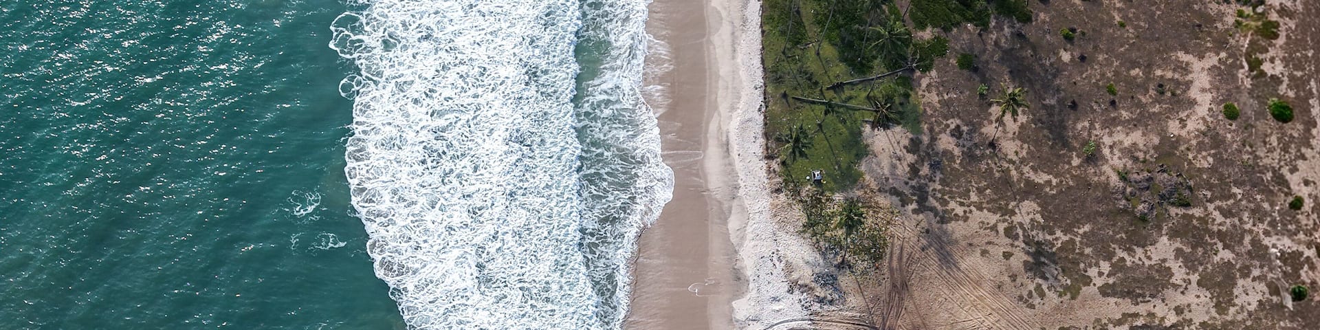 An aerial view of a beach with waves crashing onto the shore, a sandy beach, and sparse vegetation.