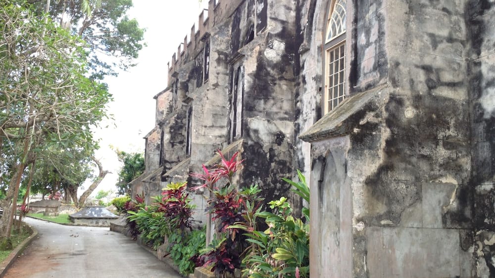 Take the island tour. Worth every penny...