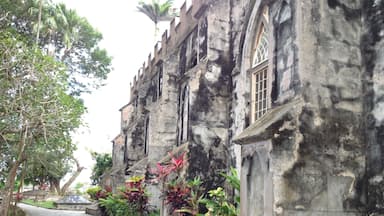 Take the island tour. Worth every penny...