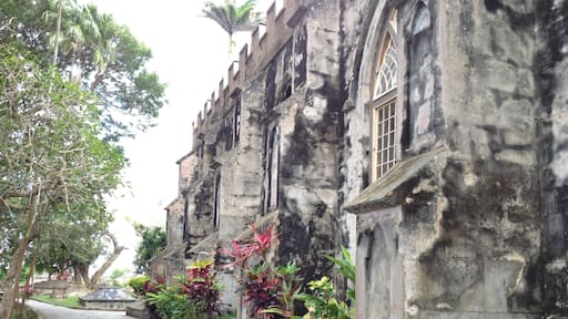 Take the island tour. Worth every penny...