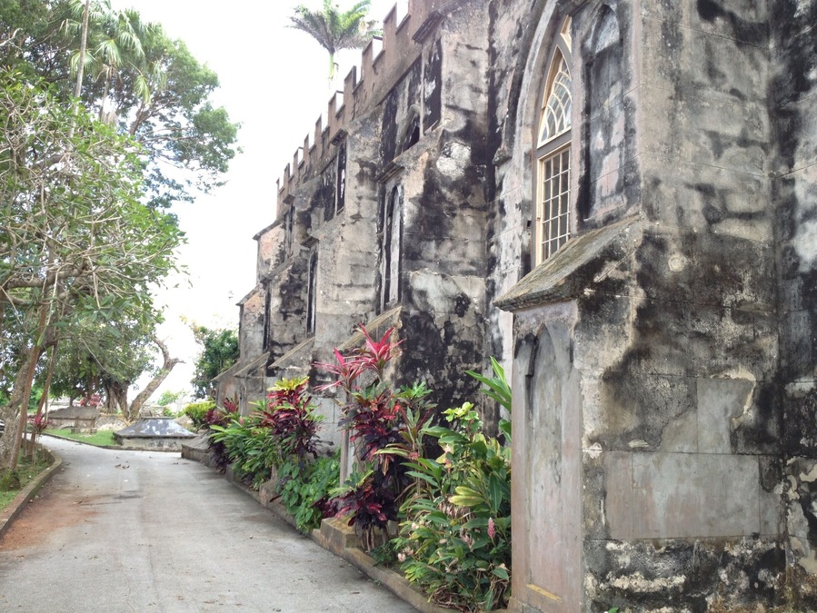 Take the island tour. Worth every penny...
