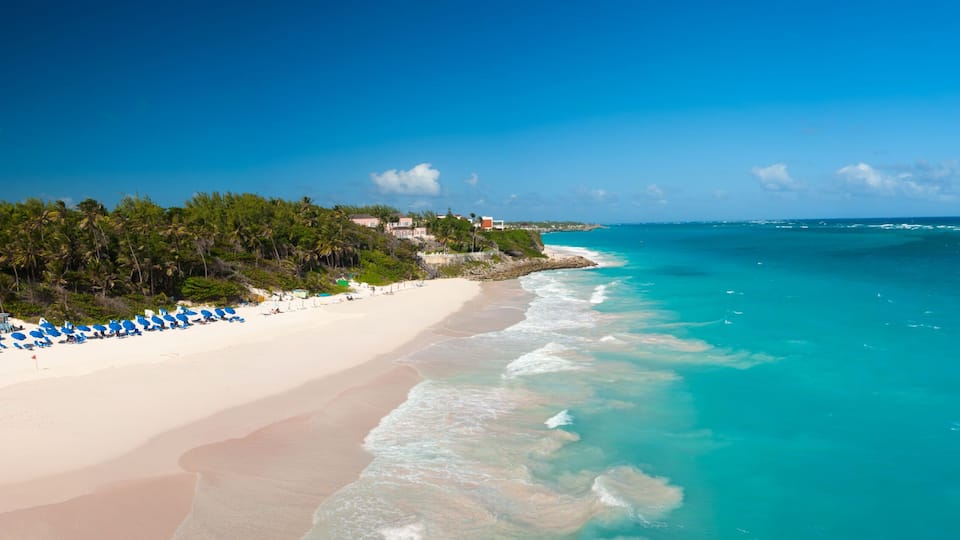 A beach with turquoise waters, white sand, and palm trees.