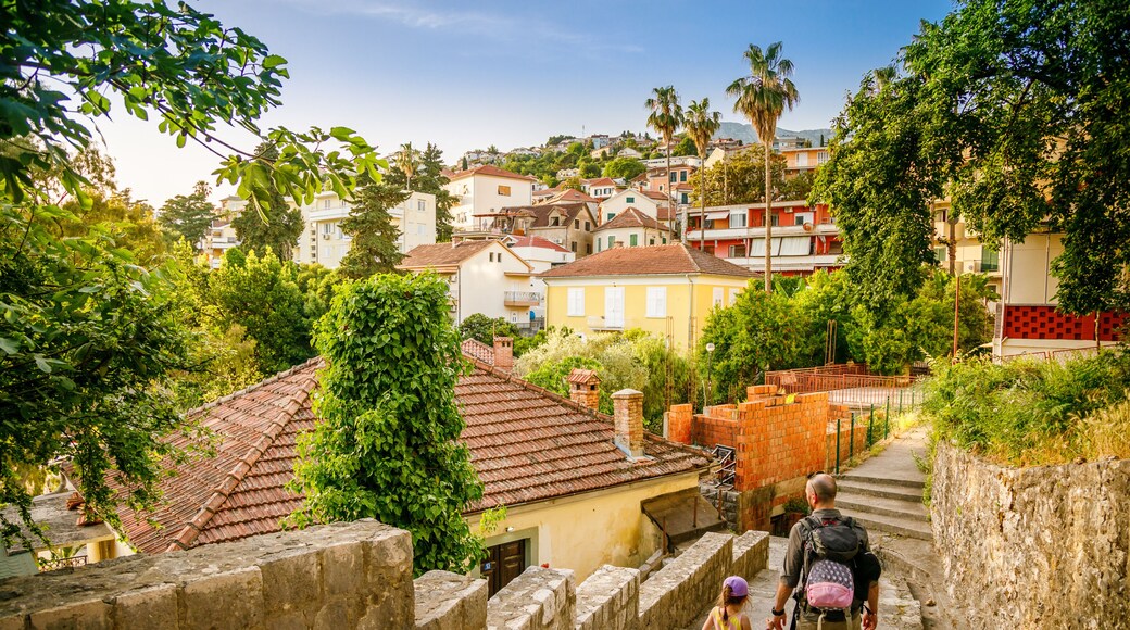 A man and his little daughter walking down a stone stairway in a sunlit, hillside town Herceg Novi, Montenegro