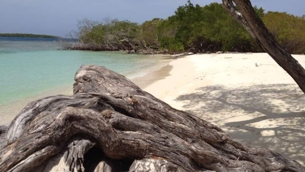 Playa Azul, Morrocoy,Venezuela