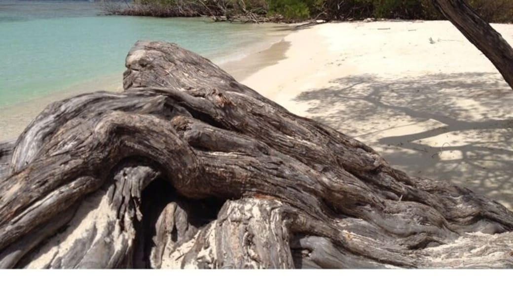 Playa Azul, Morrocoy,Venezuela
