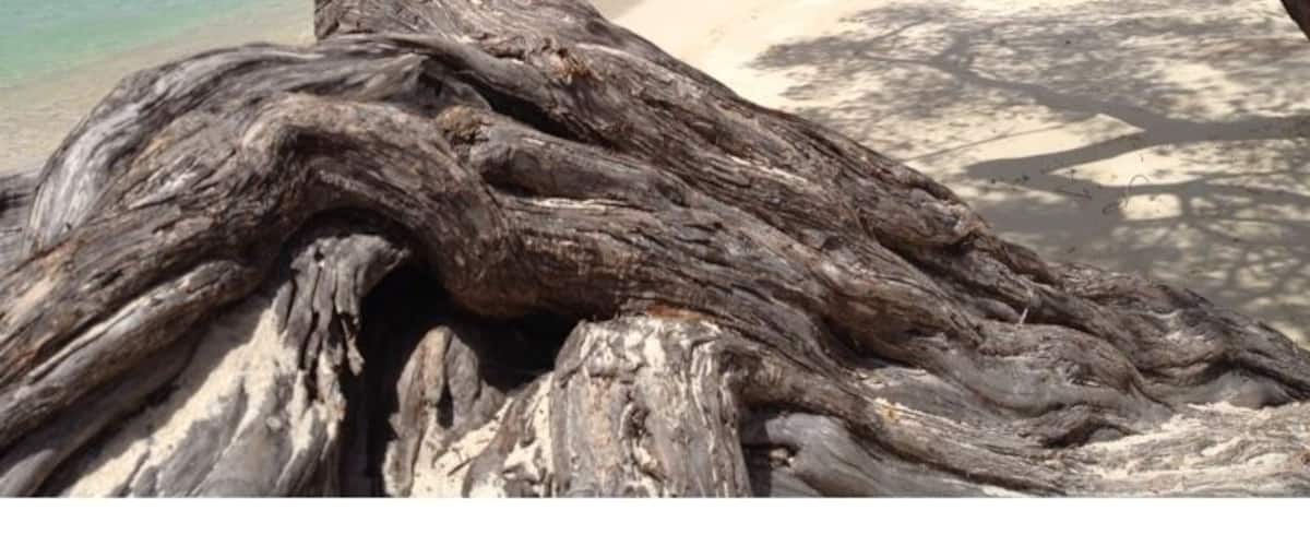 Playa Azul, Morrocoy,Venezuela