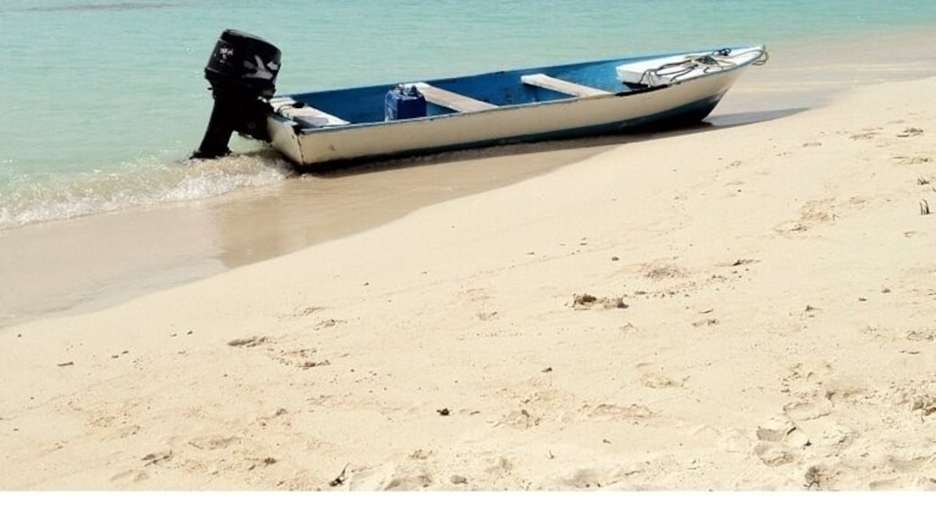 In momento de tranquilidad !