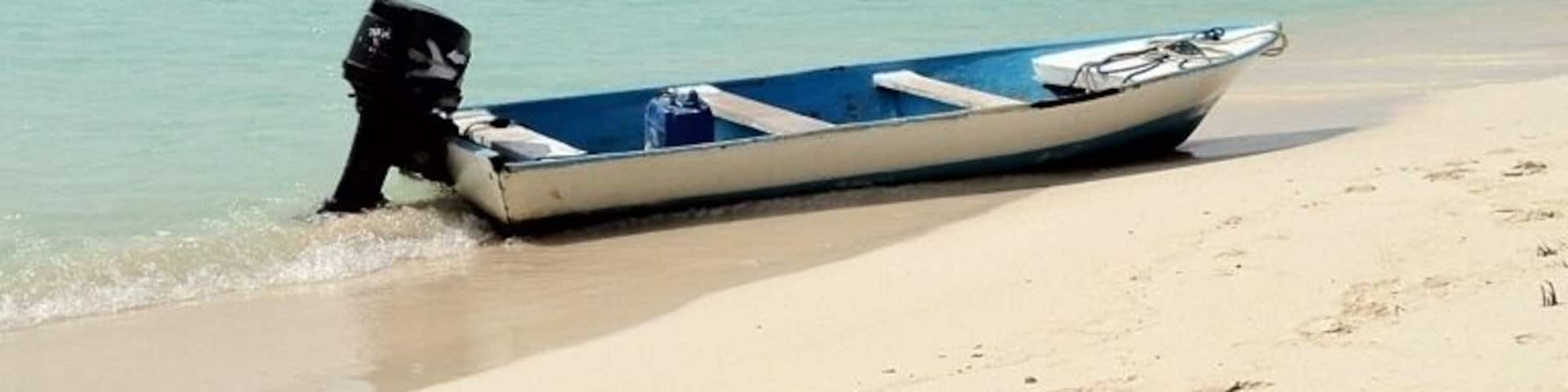 In momento de tranquilidad !