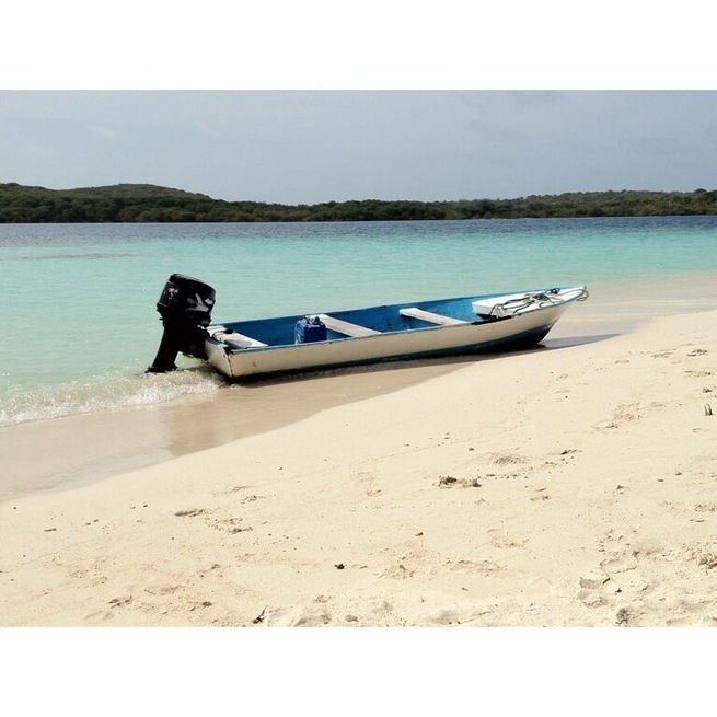 In momento de tranquilidad !