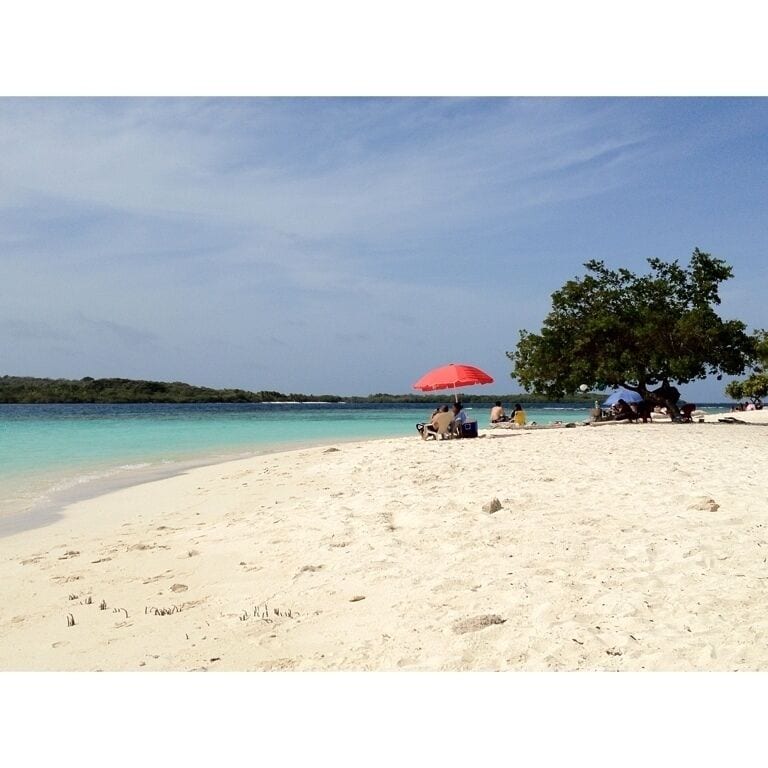 A sandy beach with clear turquoise water, a red umbrella, and a large tree providing shade.