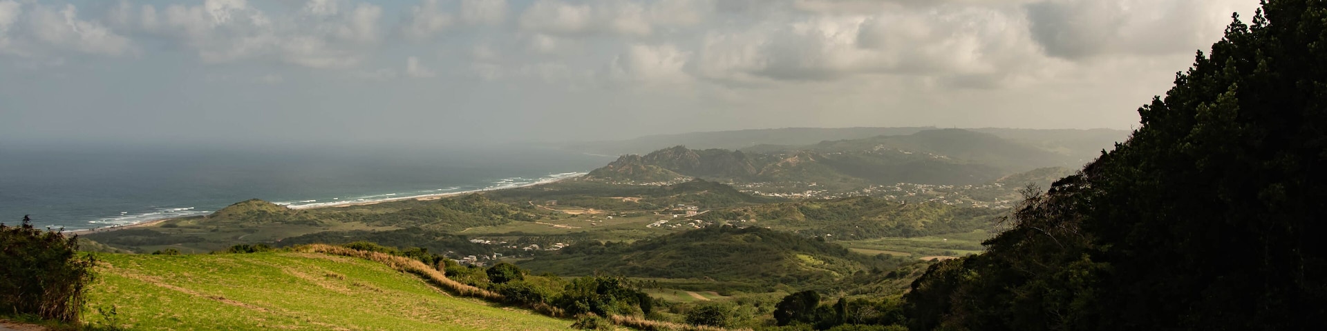 Green Valley Landscape in Barbados