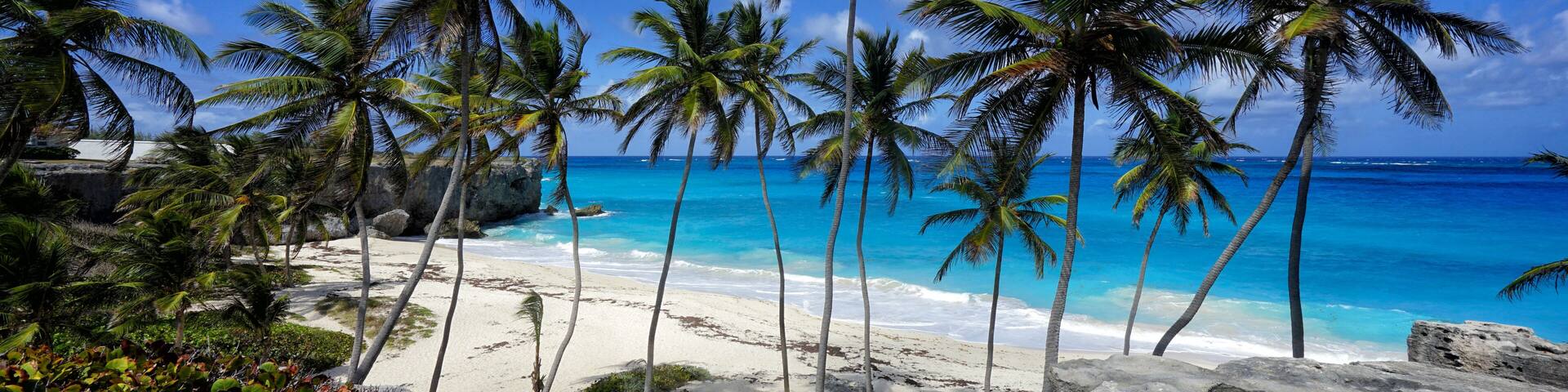 A beach with palm trees and clear blue waters.