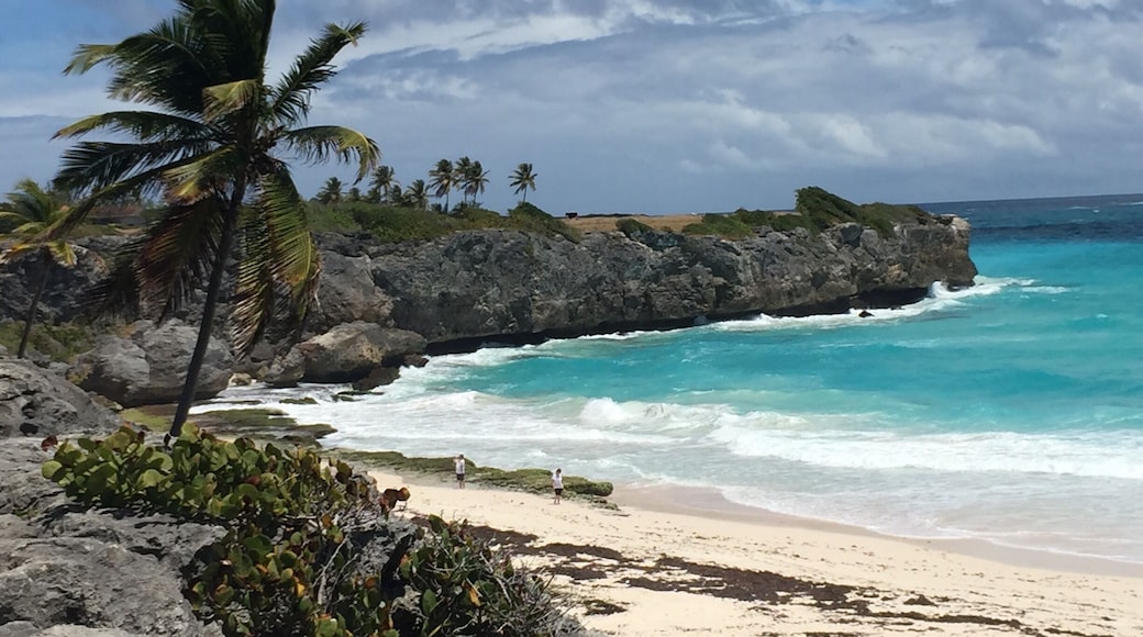 The beach at Harrismith.