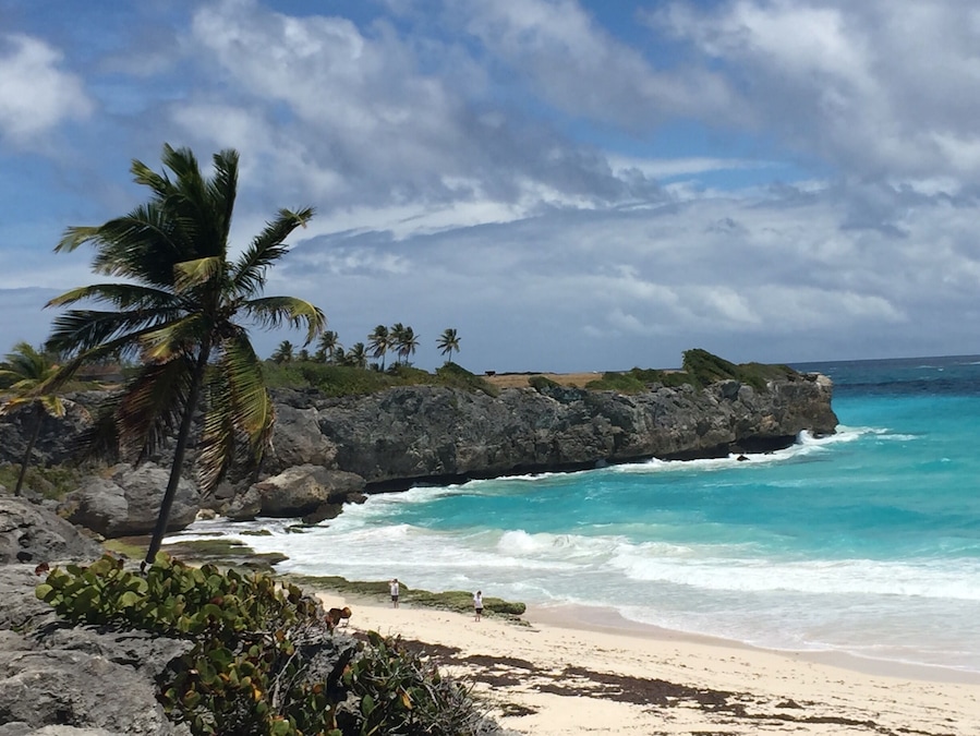 The beach at Harrismith.