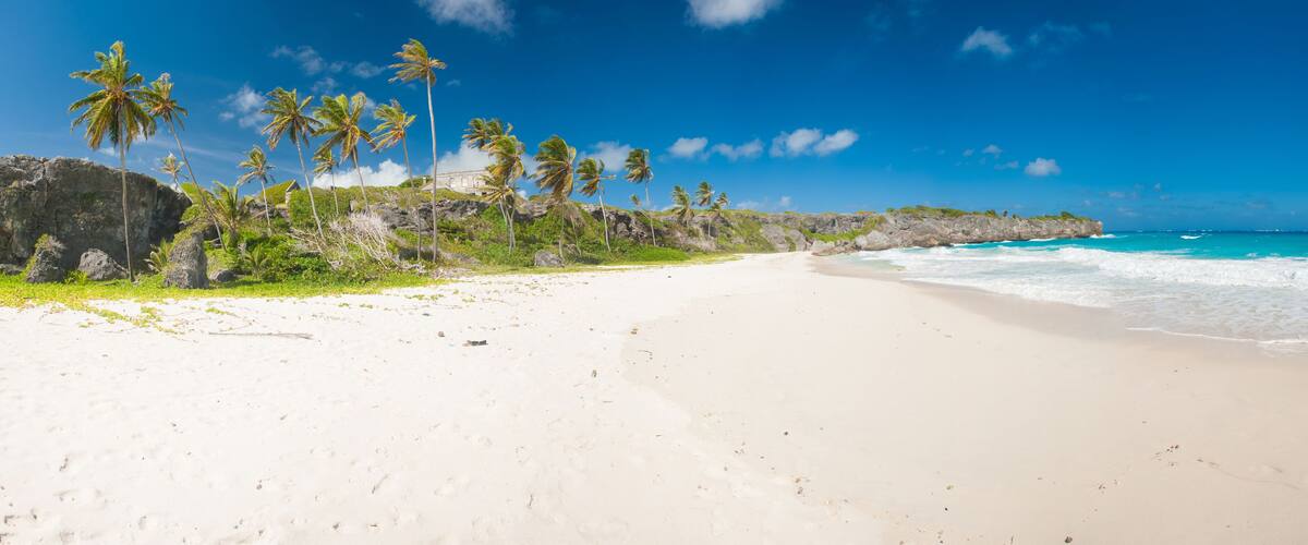 A beach with white sand, palm trees, and a rocky cliff.