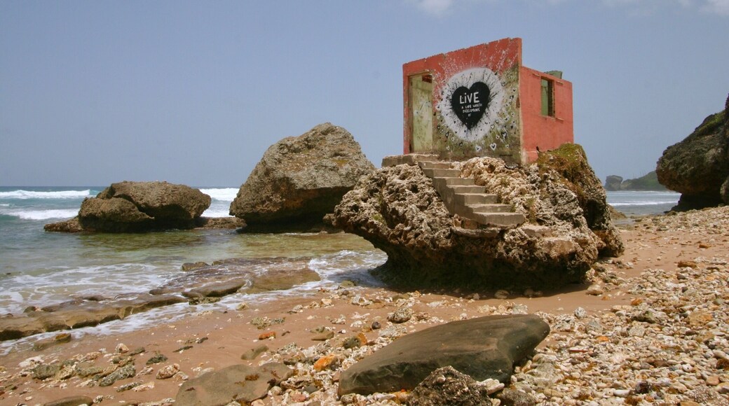 I had found this rock when I left the tour group and walked Bathsheba Beach to the North. The building has been a part of several TV shows and music videos. I believe one of them was The Bold and the Beautiful.
#BeachTips
#LocalSecrets