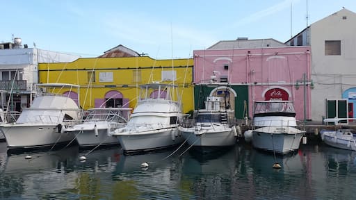 When and if you tire of the beach, you can explore the nearby city