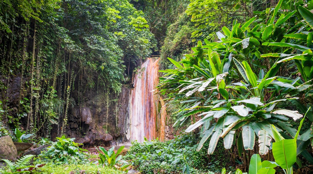 Waterfall .Soufriere, Saint Lucia, .West Indies, Eastern Caribbean
