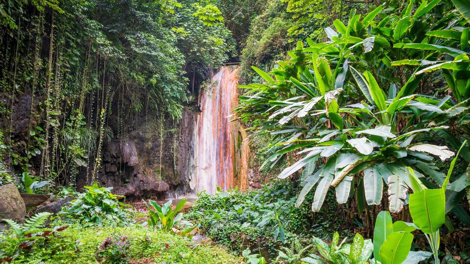 A lush waterfall surrounded by dense tropical vegetation.