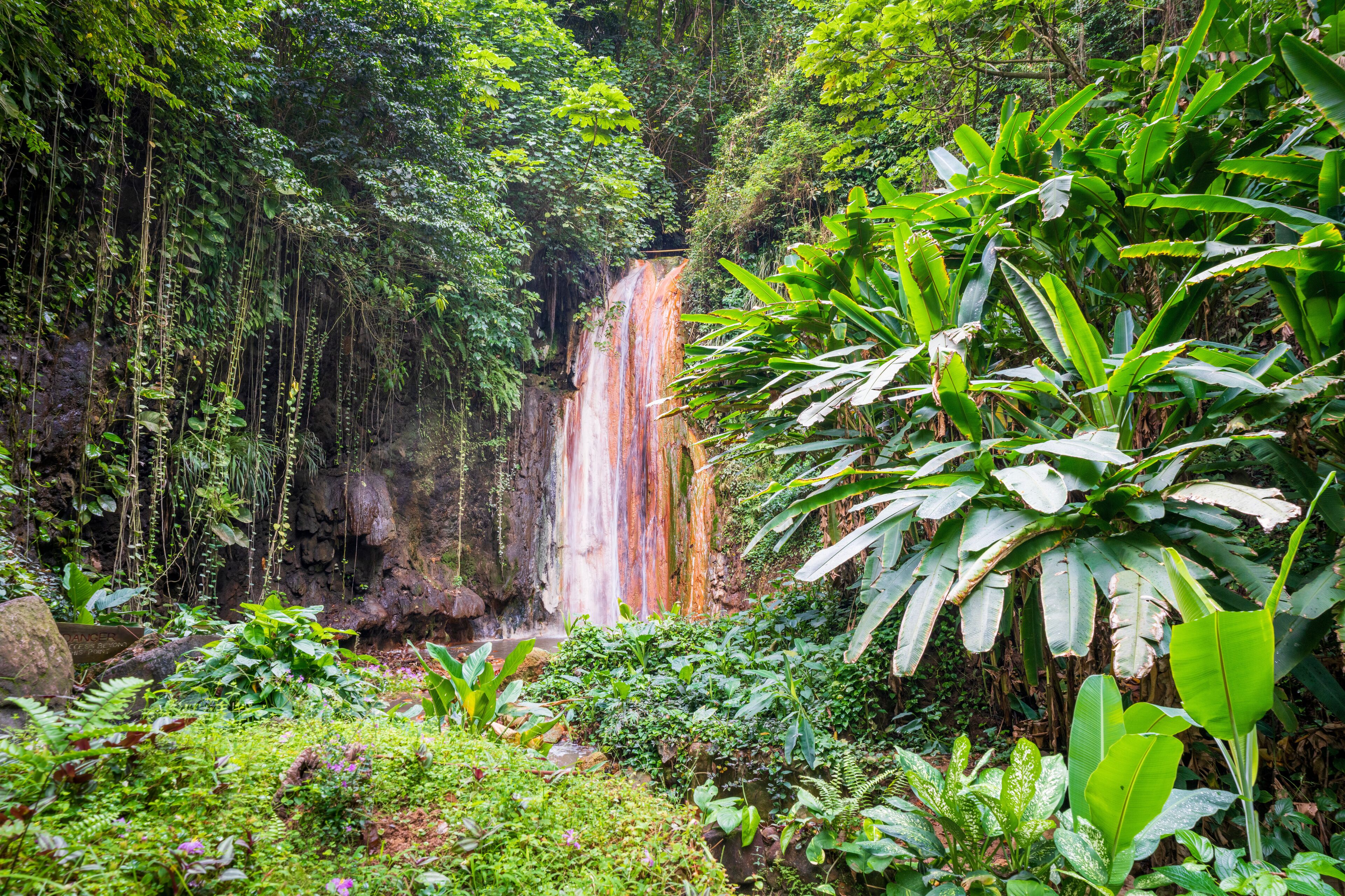 A lush waterfall surrounded by dense tropical vegetation.