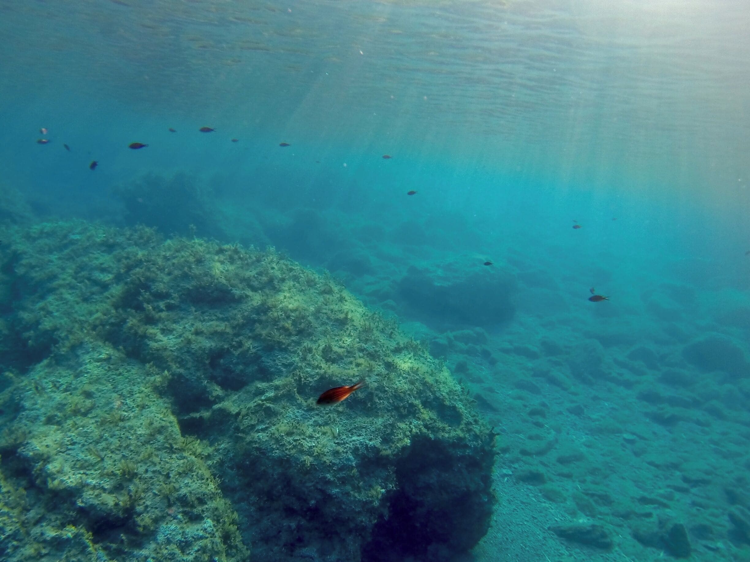 Be sure to take a snorkel to the Baths of Aphrodite in the late afternoon when the tide comes in bring the sea life out. 