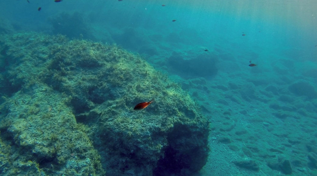 Be sure to take a snorkel to the Baths of Aphrodite in the late afternoon when the tide comes in bring the sea life out.