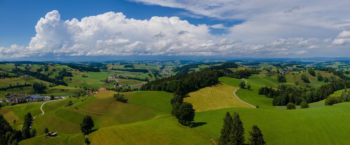 A panoramic view of rolling green hills, scattered trees, and a village with houses and roads.