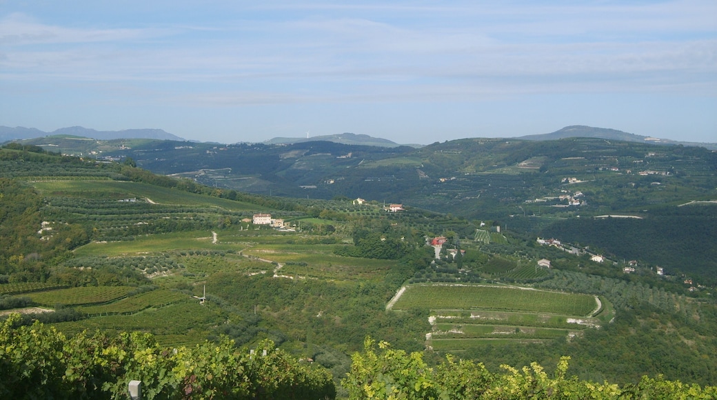 La pala eolica di Badia Calavena (sullo sfondo)