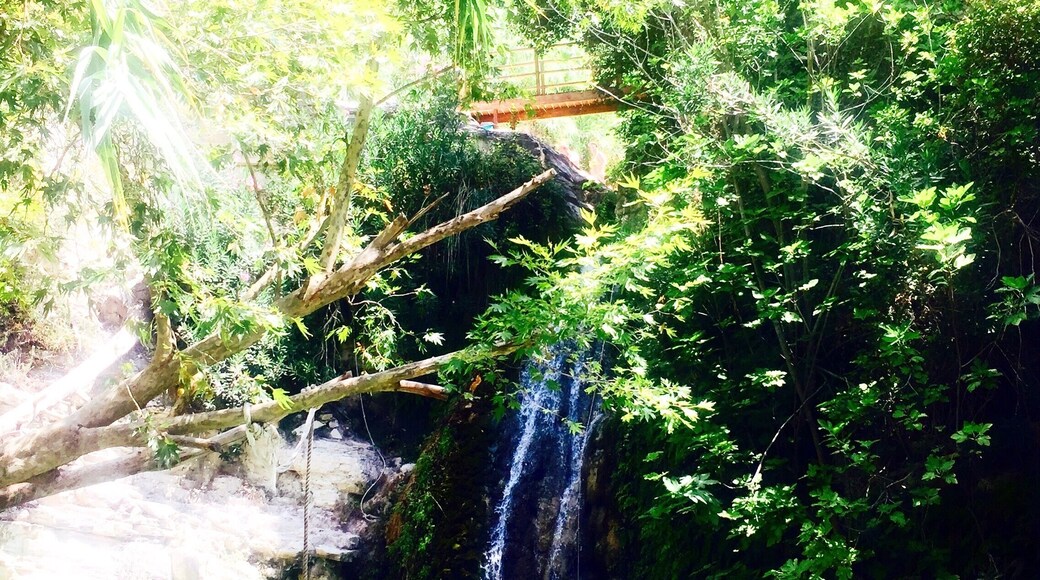 So amazing swimming in this fresh water and climbing the waterfalls