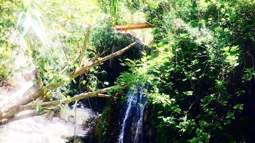 So amazing swimming in this fresh water and climbing the waterfalls