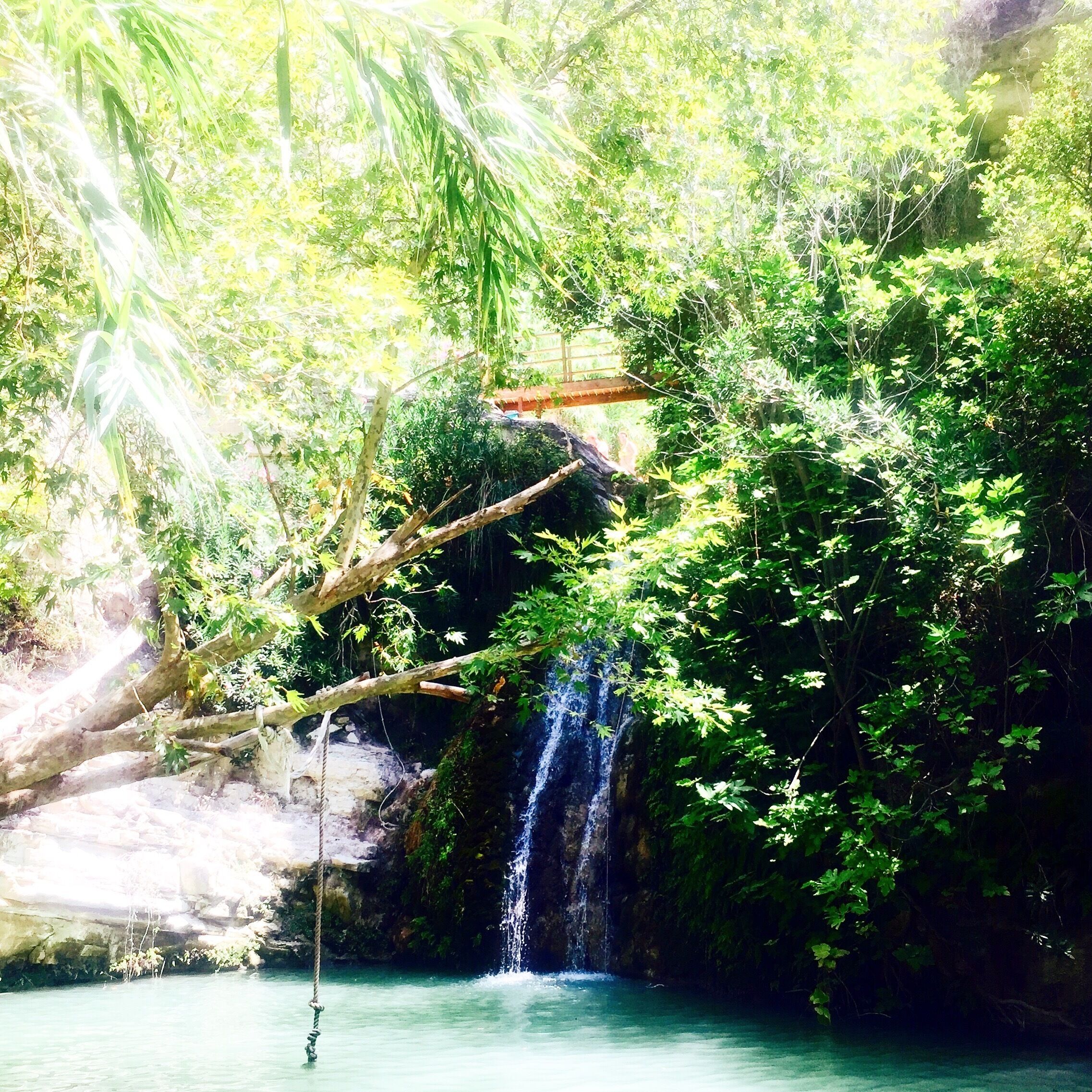 A waterfall cascading into a clear pool surrounded by lush greenery and trees.