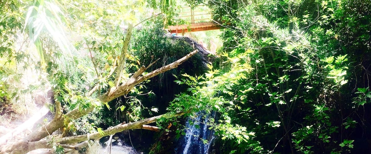 A waterfall cascading into a clear pool surrounded by lush greenery and trees.