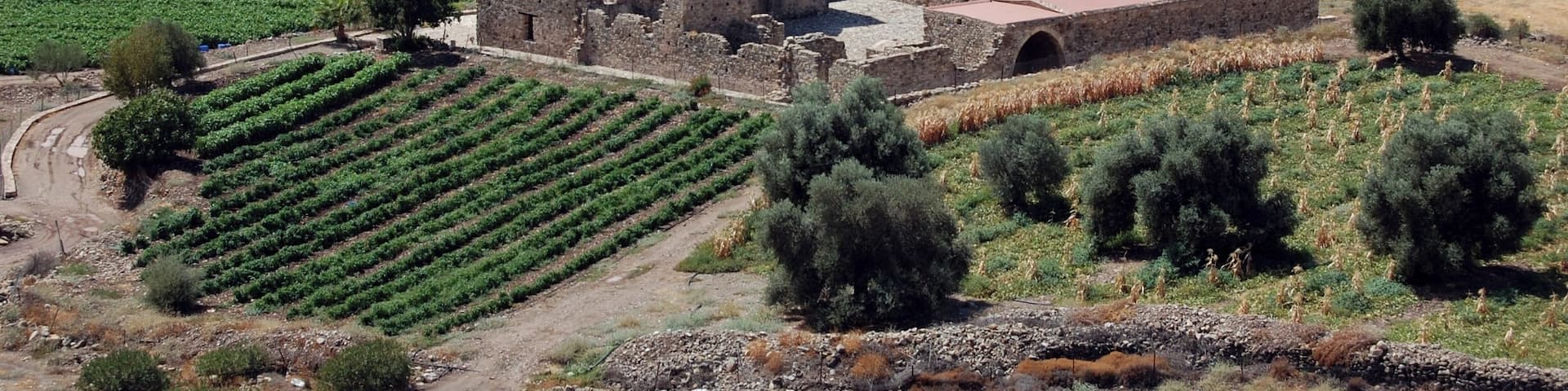 Panagia tou Sinti or Panayia tou Sinti is a remarkable cultural monument and is located in Pentalia, on the west bank of Xeros River.
The date that the monastery was built is not well known but the church belongs to the first half of the 16th century. It is an Orthodox monastery and is dedicated to the Virgin Mary.In 1997 it received an Europa Nostra award for its restoration and conservation.