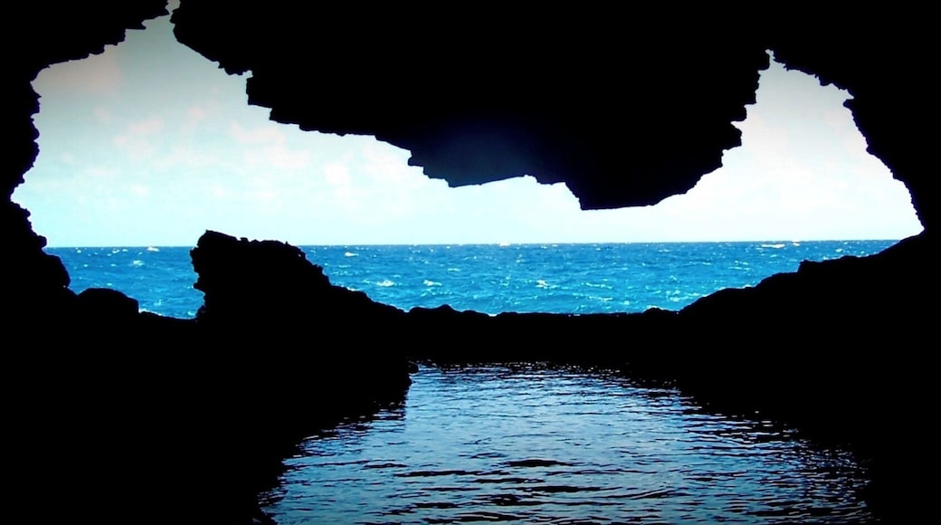 Animal Flower Cave in St. Lucy Parish, Barbados. It’s called this because of the sea anemones that populate the cave’s tide pools. A must see in Barbados.