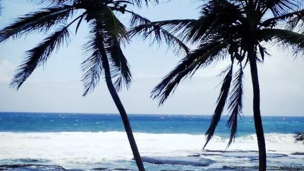 Find your own Paradise on one of the amazing beaches of Barbados! Rent a car and explore the many gems of this island, like the many beautiful beaches or the Harrisons caves.