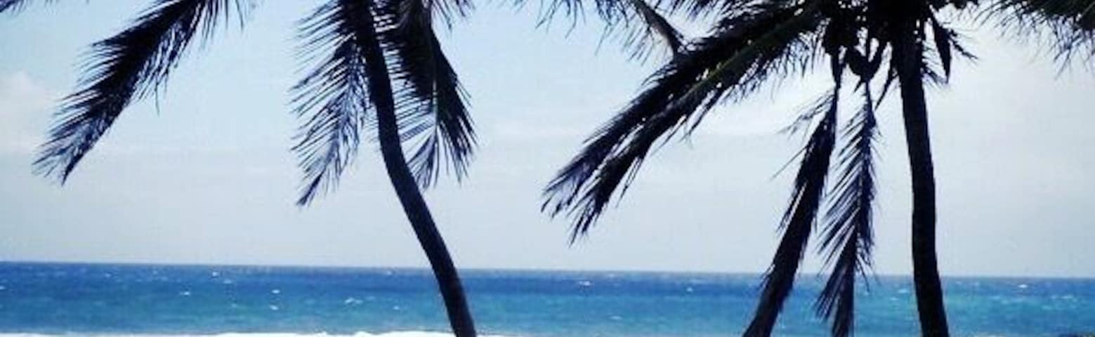 Find your own Paradise on one of the amazing beaches of Barbados! Rent a car and explore the many gems of this island, like the many beautiful beaches or the Harrisons caves.