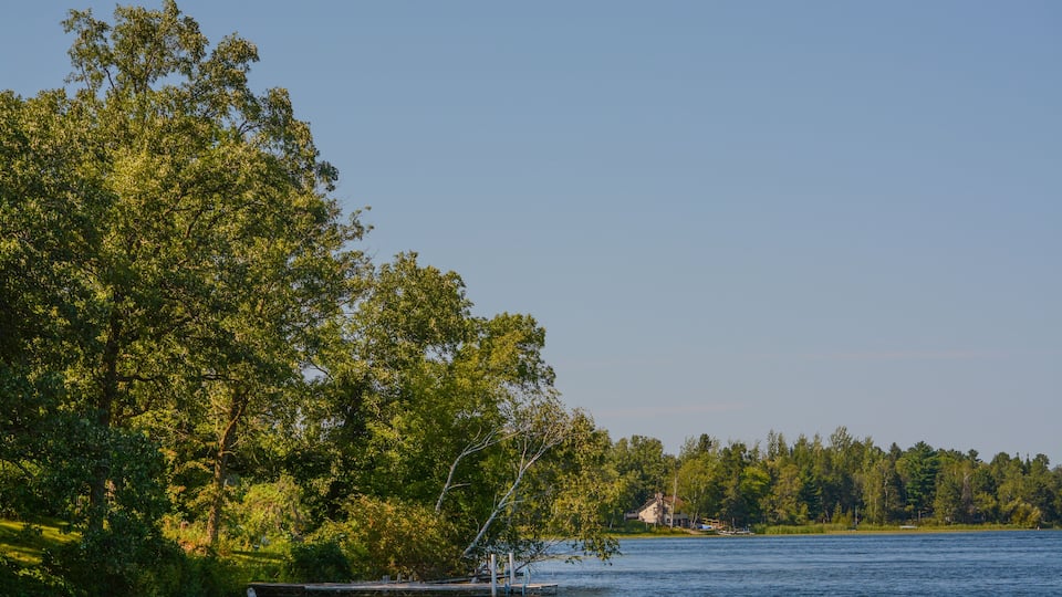 A calm lake surrounded by dense green trees and a dock extending into the water.