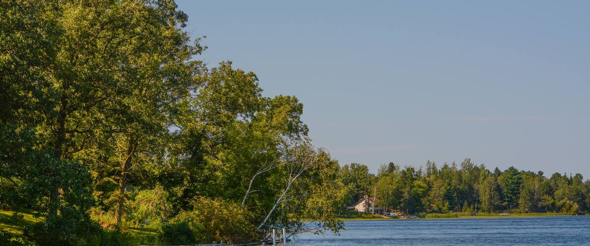 A calm lake surrounded by dense green trees and a dock extending into the water.
