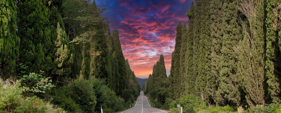 Tuscany, Italy. Asphalt line in nature, panoramic road to travel destination