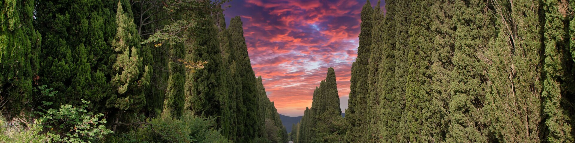 Tuscany, Italy. Asphalt line in nature, panoramic road to travel destination