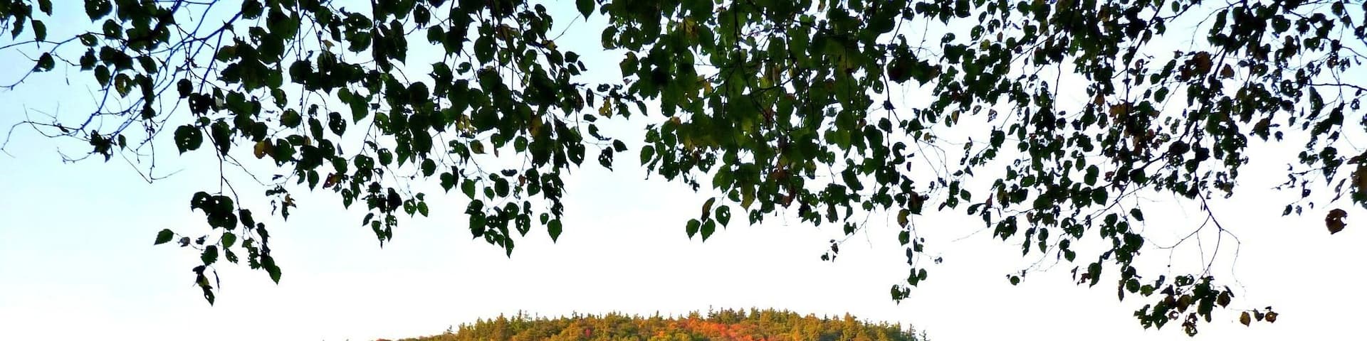 There are a number of lovely, secluded spots along the Gatineau River, near Chelsea, Quebec (not far from Ottawa). It's great for swimming in the summer, and you'll find quaint shops and restaurants in Chelsea.
#localgem
