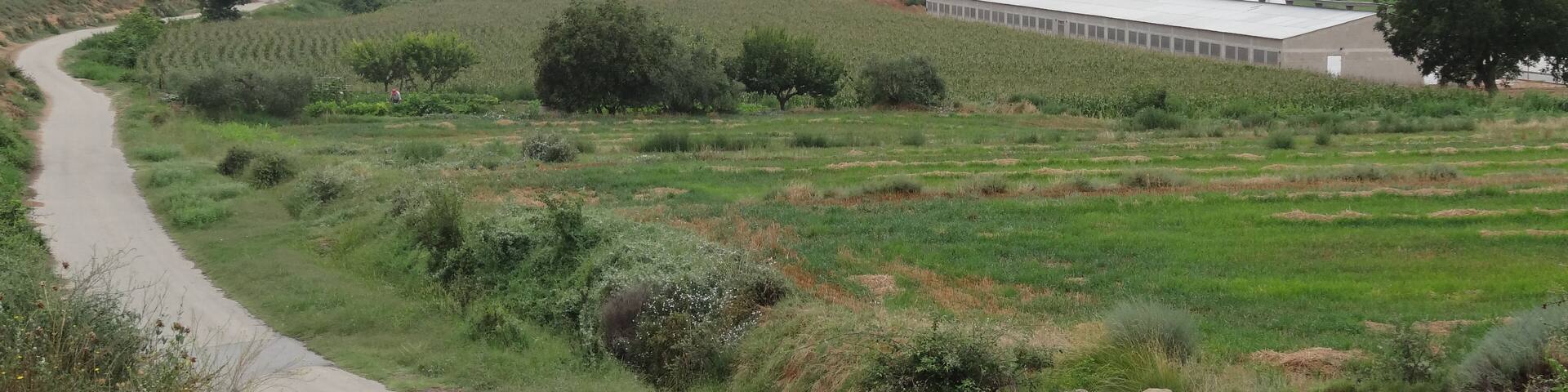 Les Ventoses vist des del Nord