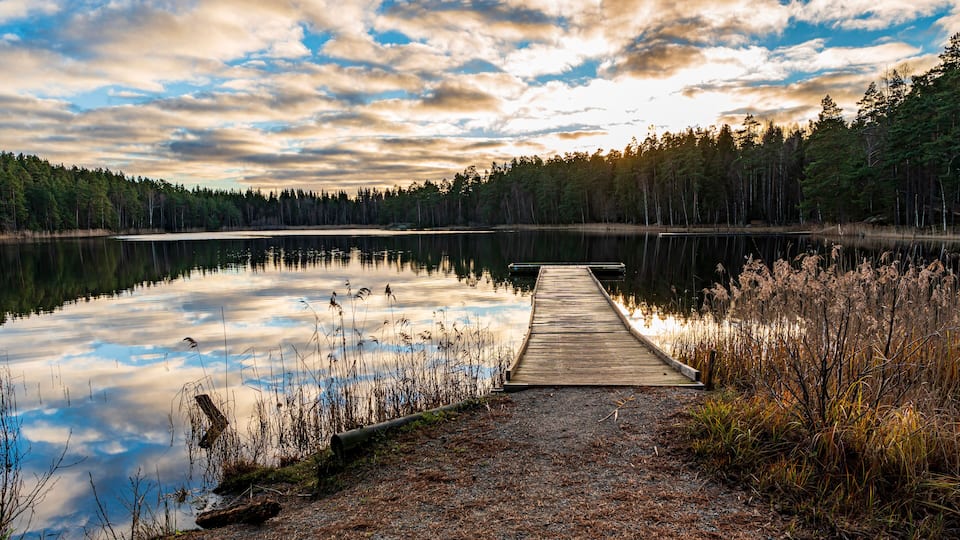 A wooden dock extending into a calm lake surrounded by dense forest.