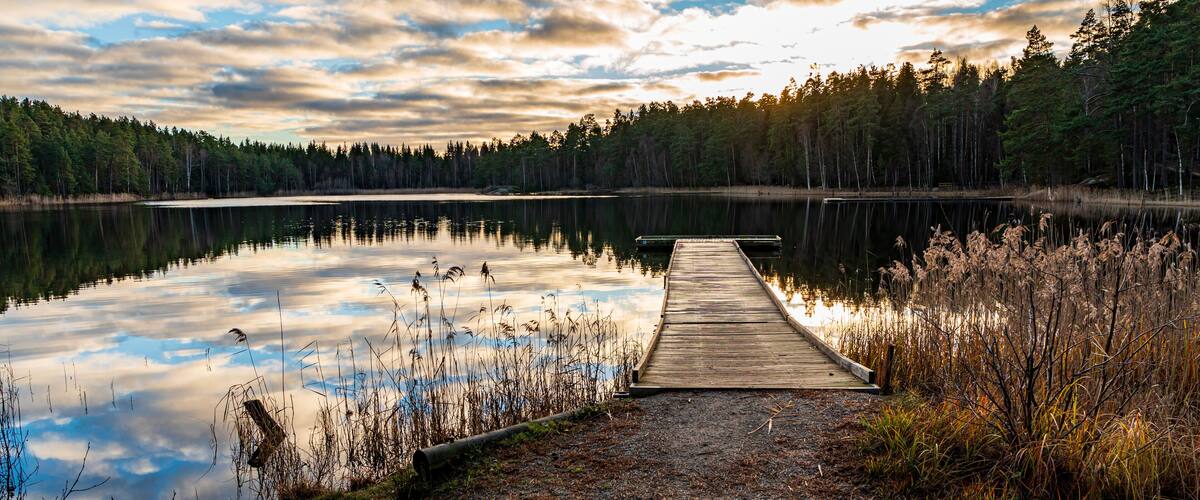 A wooden dock extending into a calm lake surrounded by dense forest.