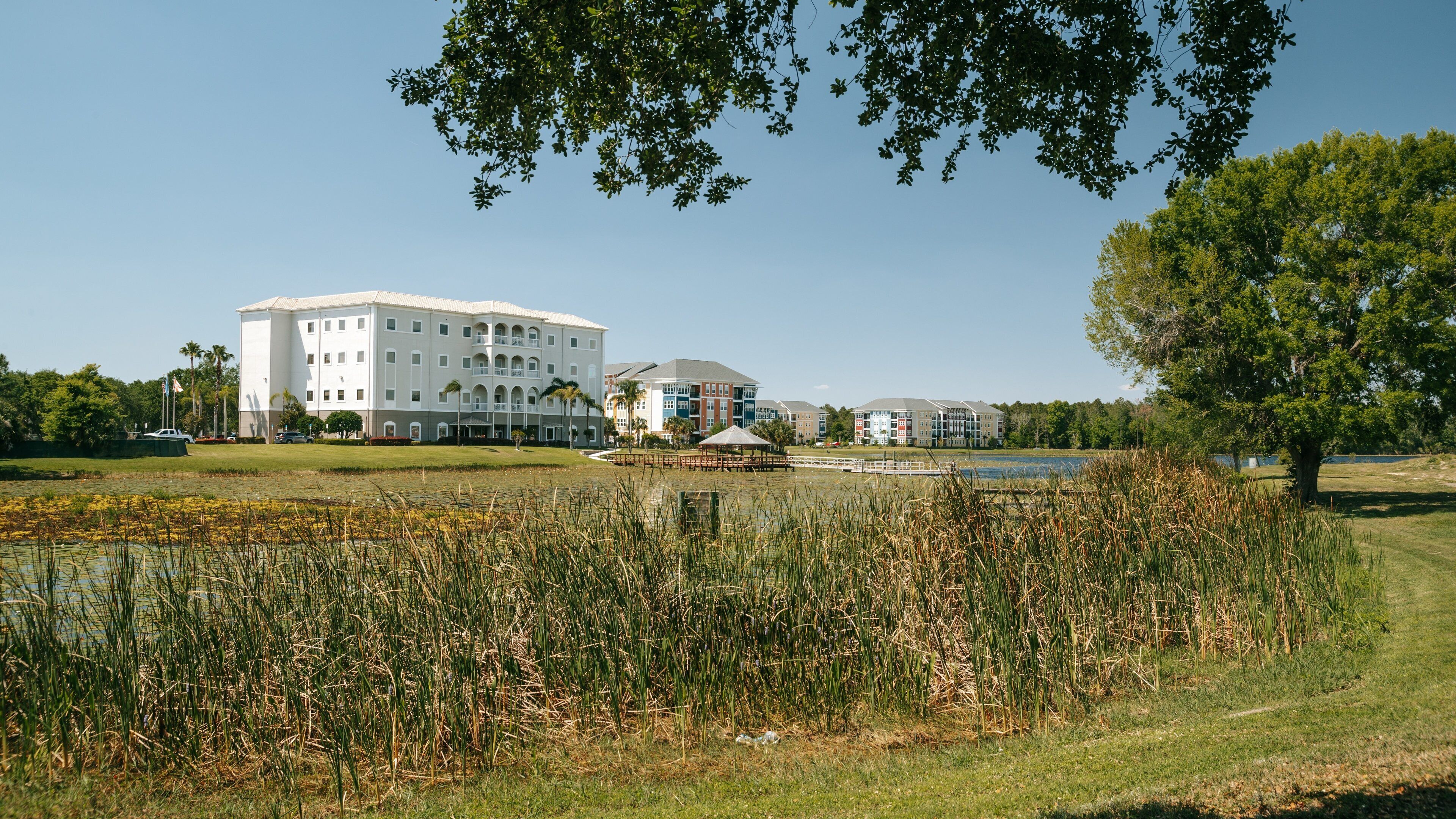 Four Corners showing a garden