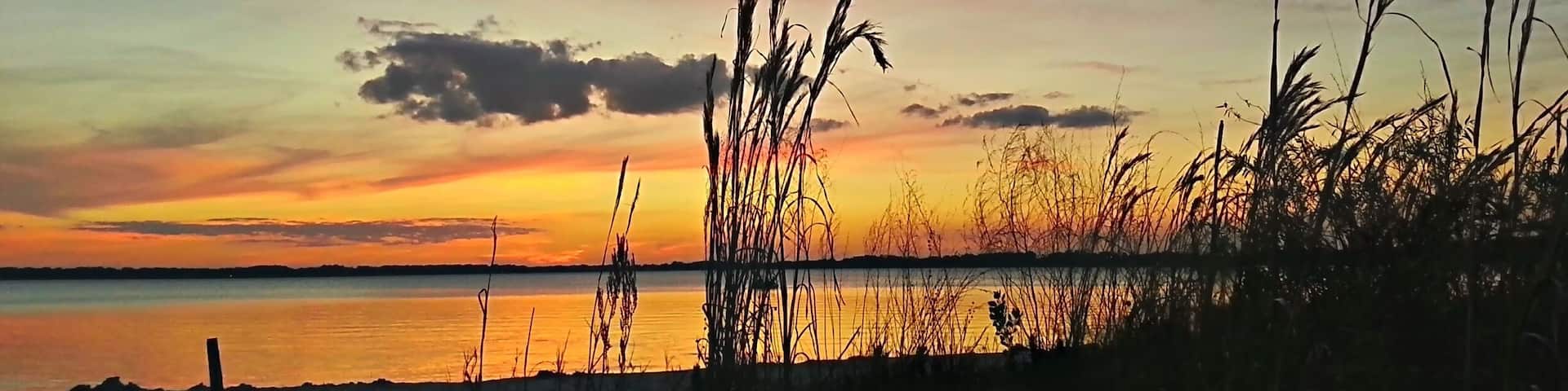 Watching the sunset from the banks of Lake Minneola. #goldenhour