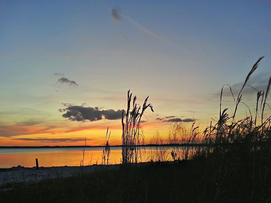 Watching the sunset from the banks of Lake Minneola. #goldenhour