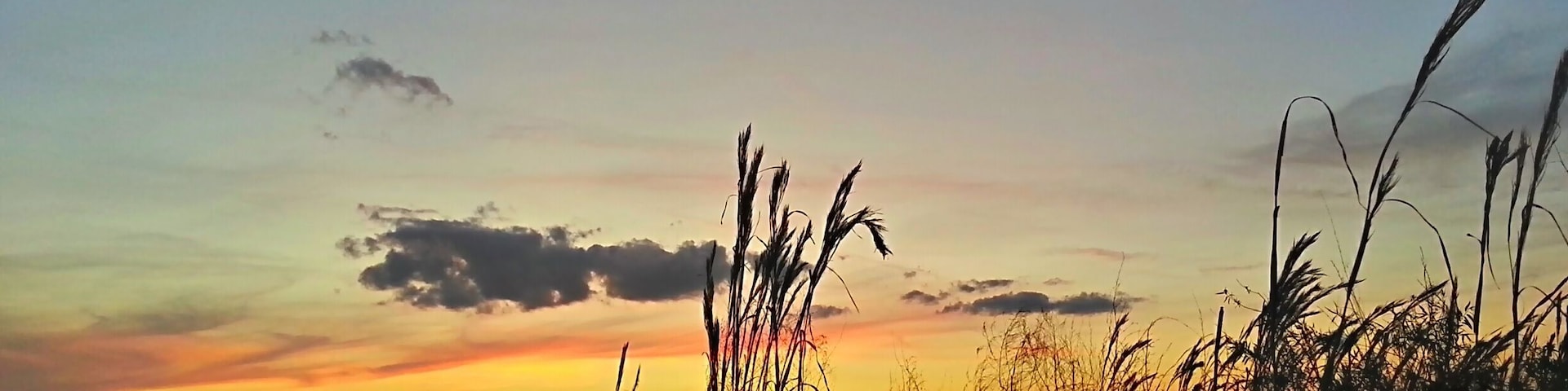 Watching the sunset from the banks of Lake Minneola. #goldenhour