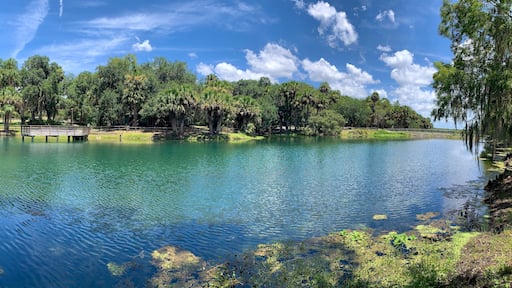 Blue green lake at Gemini Springs State Park just north of Orlando in Debary, Florida