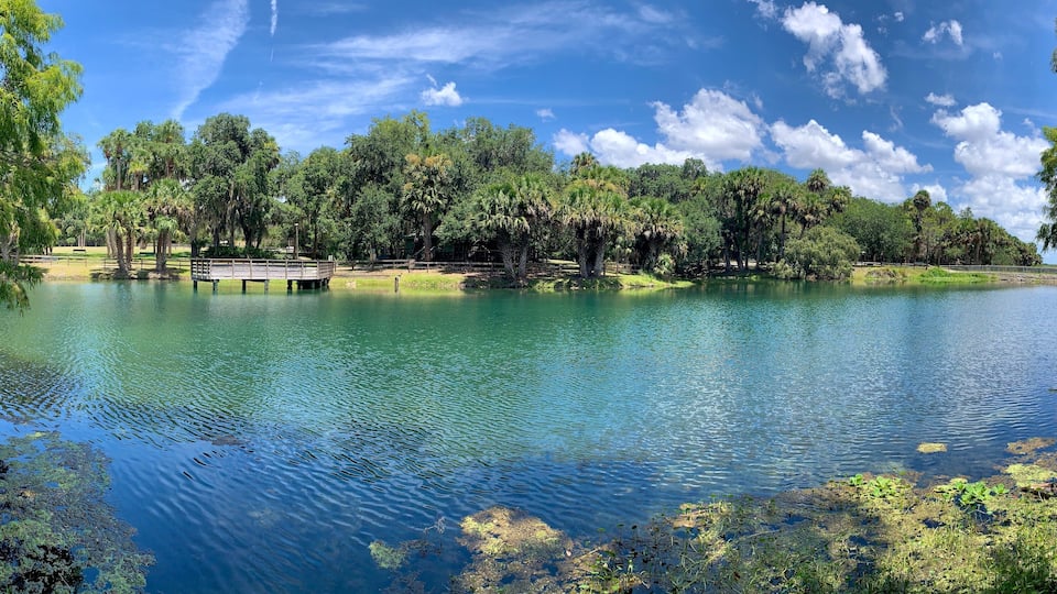 A calm lake surrounded by lush greenery and a wooden dock.